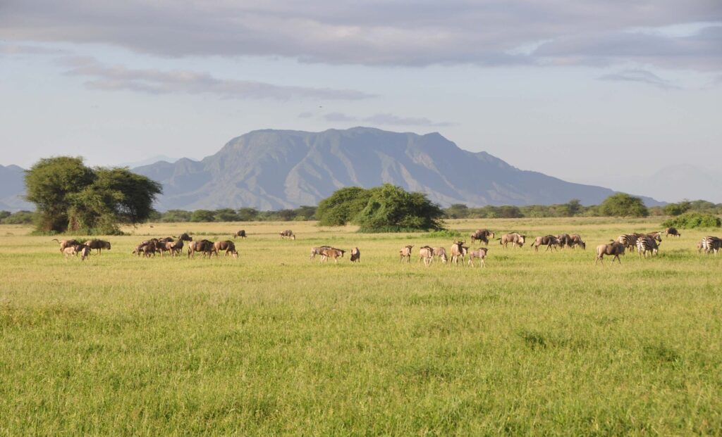 Understanding The Rangelands | SORALO