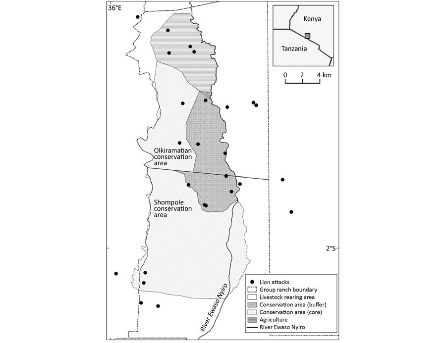 Understanding the lion Attacks on Humans and Livestock